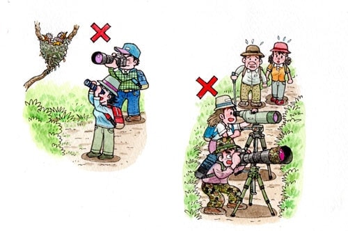 自然と野鳥を最優先にするマナー