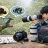 全部解決！野鳥撮影を始めたいカメラ初心者におすすめの機材とマナー
