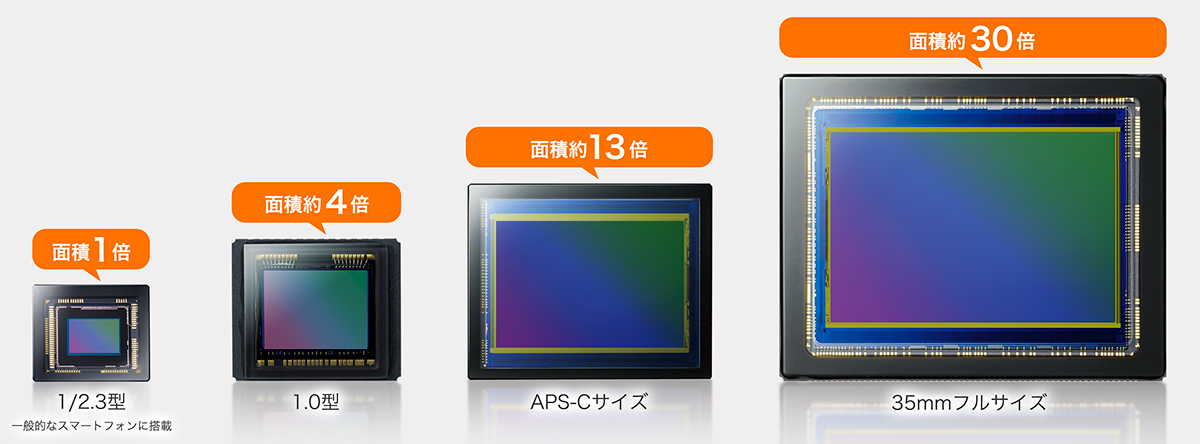 センサーサイズ比較