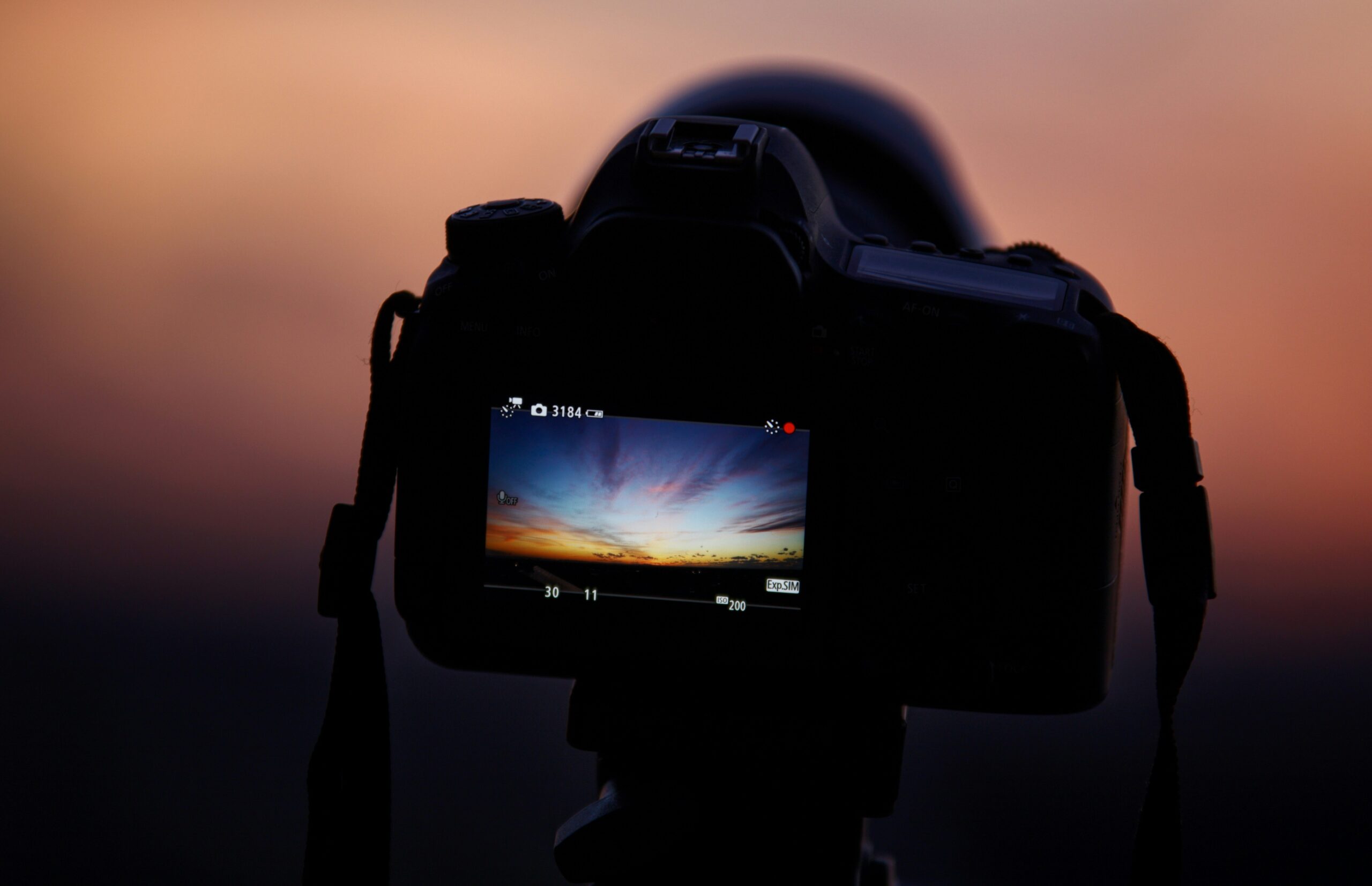 一眼レフカメラはオワコンでなくなると言われる真実